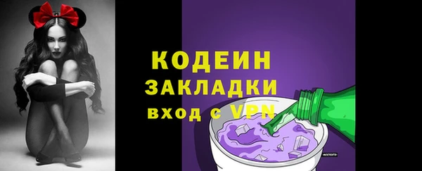 соль ск Вяземский