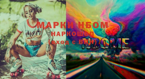 соль ск Вяземский
