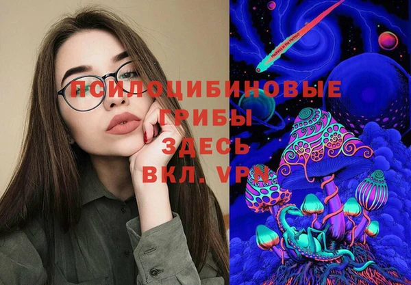 соль ск Вяземский