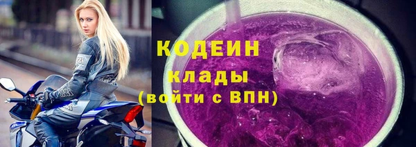 соль ск Вяземский